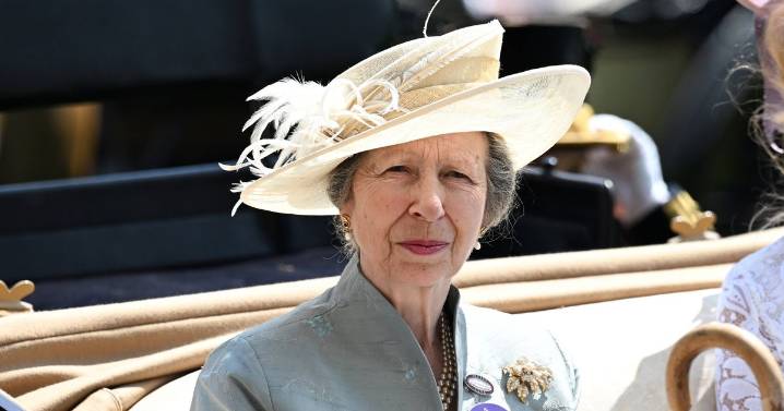 Princess Anne's surprise 'realisation' after falling down 'the line of succession'