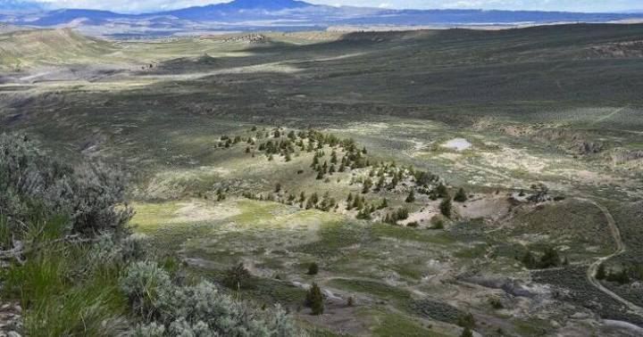 Shooting complex board denies rising cost
