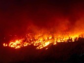 How much have fossil fuel giants contributed to heat waves such as B.C.’s heat dome?