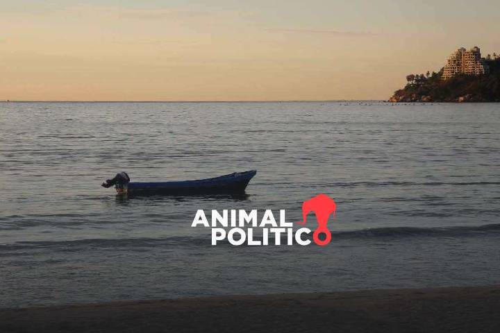 México ratifica Tratado de Alta Mar para proteger océanos y biodiversidad marina