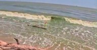 Captan nuevamente cocodrilo en la playa de Altamira; piden precaución a visitantes