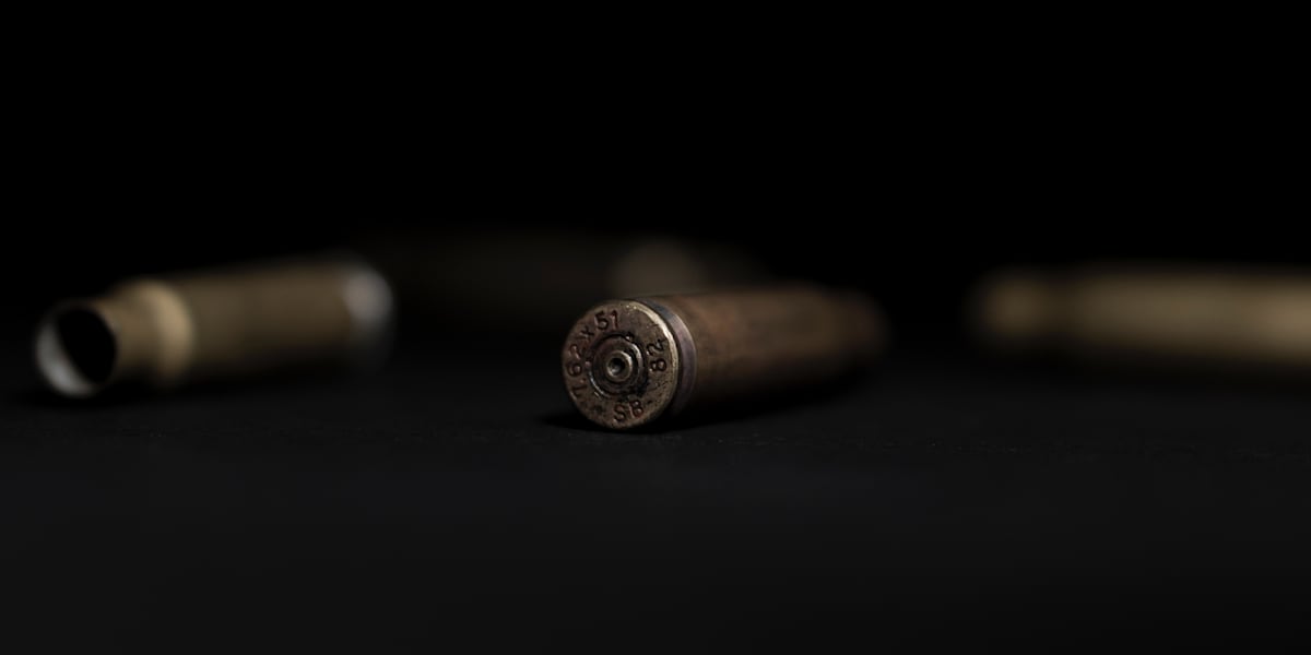 Mass shooting breaks out during large gathering; 2 dead, 6 injured