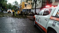 Fuerte lluvia en Puebla deja calles inundadas y caída de árbol de 12 metros HOY 3 de septiembr...