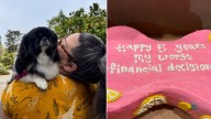 Owner In Minnesota Celebrates 5 Years With Dog And The Cake Uncovers Something Unexpected