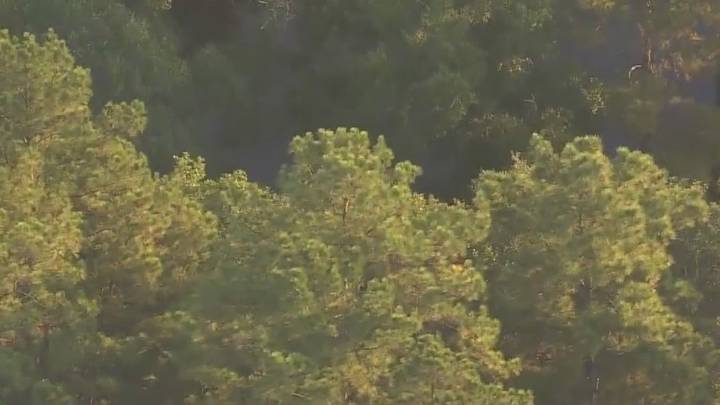 Liberty County: Mother, 3 children taken to hospital following incident