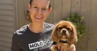 Mold Dog of Virginia sniffs out mold in homes and businesses