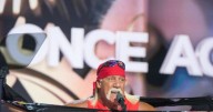 Hulk Hogan's Widow Believes Emmy's Snub Due to Politics