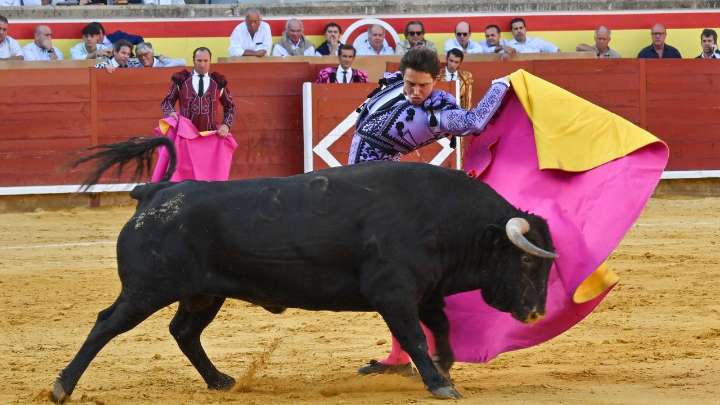 Roca Rey reaparece y triunfa a lo grande con Talavante y Rufo en la última de Palencia