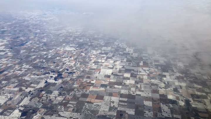 Monitor moisture when managing frost-damaged corn for silage