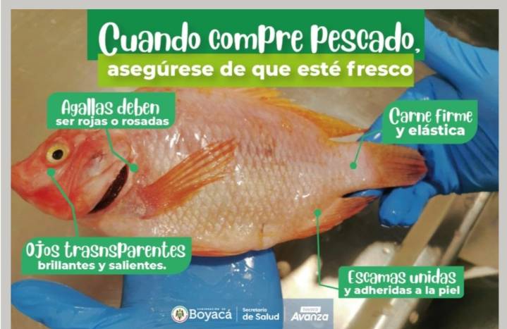 Inicia la cuaresma y con ella las recomendaciones para el consumo seguro de pescado
