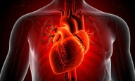 Cardiovascular diseases behind 1 in 3 global deaths in 2023: Study