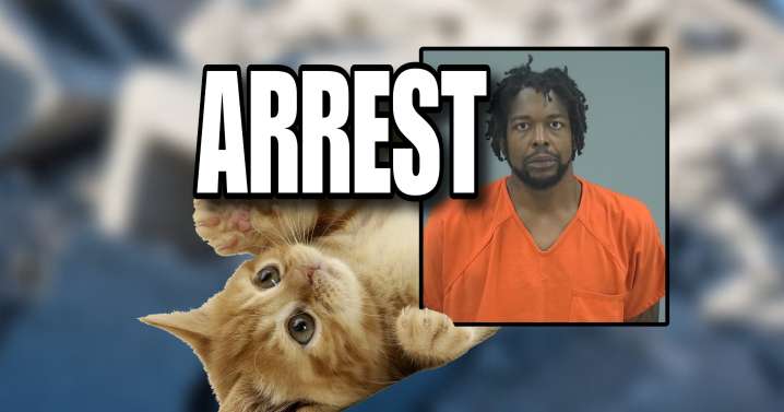 Here, kitty kitty: ‘Cat’ burglar charged with ‘unnerving’ backyard break