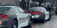 Man dead after being shot in the head: SCSO