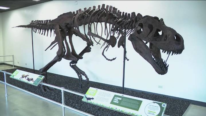 Discovery Center of Idaho’s capital campaign looks to expand the future of education