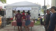 Shrimp tested at Louisiana Shrimp and Petroleum Festival to prove they're authentic Gulf shrimp