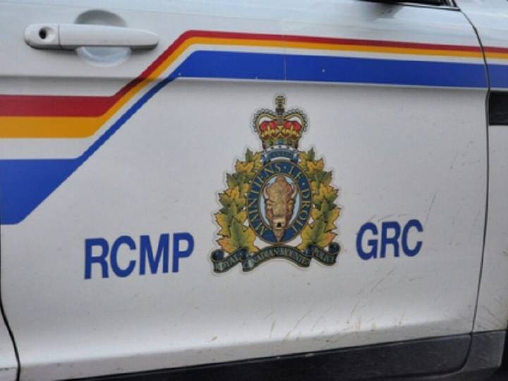 Assailants shoot up Gibsons home, kill dog