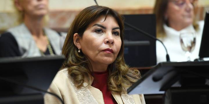 Una senadora kirchnerista dijo que no cree que el Gobierno llegue al 26 de octubre y un funcionario le respondió: “Golpe suave”