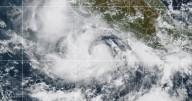 Narda is now a hurricane off the west coast of Mexico, forecasters say