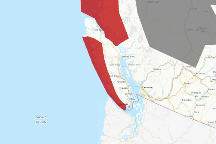 Environment Canada rainfall warning issued for parts of Vancouver Island