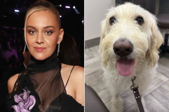 Kelsea Ballerini Asks for 'Big Love and Prayers' as Her Dog Faces Surgery amid Chase Stokes Split