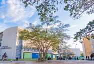 Consejo Académico de Unimagdalena aprobó el nuevo programa Profesional en Artes Musicales