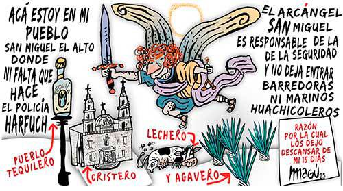 La paz de los agaves