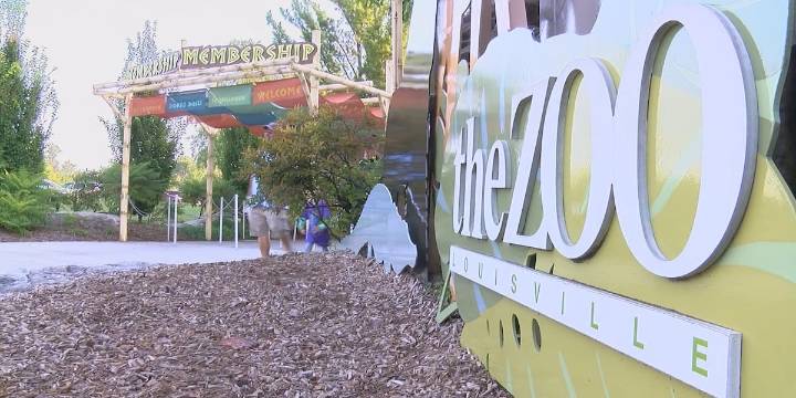 Friends of the Louisville Zoo announce ‘Skelebration’ Halloween event for adults