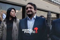 "Es un montaje": Andrés López Beltrán niega haber solicitado amparos y renuncia a ese trámite