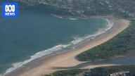 Suspected shark attack on Sydney's Northern Beaches