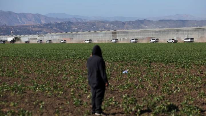 Cómo la administración Trump usa la IA para reforzar la aplicación de leyes migratorias