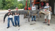 Mississippi hunters bag massive, 14-foot alligator. Was it a record?