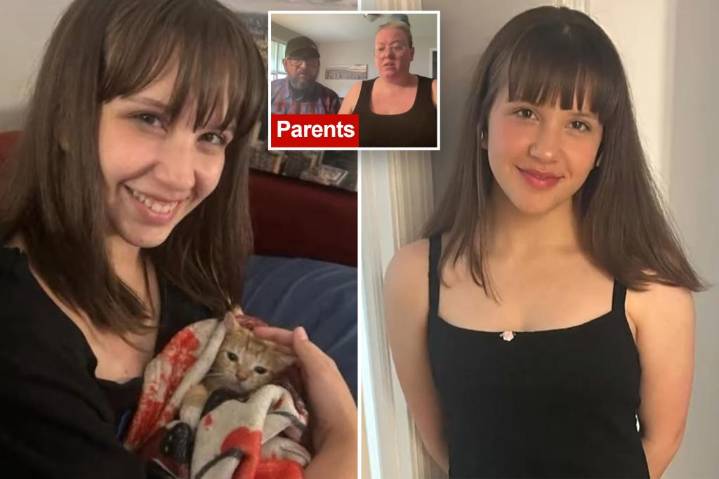 Georgia teen Amy Reidling vanishes after homecoming dress shopping; parents believe she was lured online