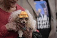 Mujer de California podría enfrentar seis años de cárcel por registrar a su perra para votar