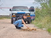 Detienen a sujeto por golpear brutalmente a un perrito