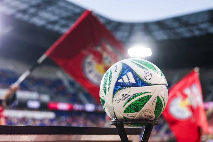 Red Bulls prospect Eder Smic Valencia, 16, killed in car crash