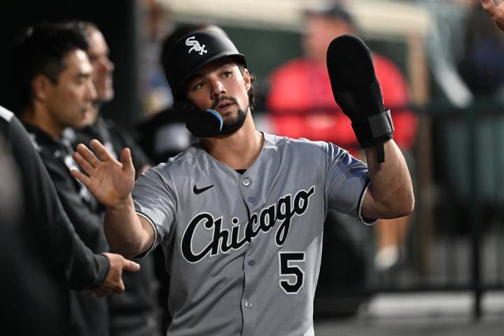 Deadspin | OF Dominic Fletcher, RHP Dan Altavilla join White Sox