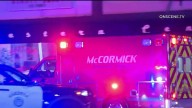 Driver in custody in connection with fatal hit