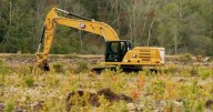 Massachusetts cranberry farmers choosing to restore their bogs into wetlands amid economic headwinds
