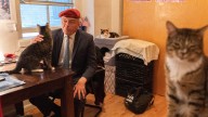 Trump dismisses cat-loving NYC Republican candidate for mayor as 'not exactly prime time'