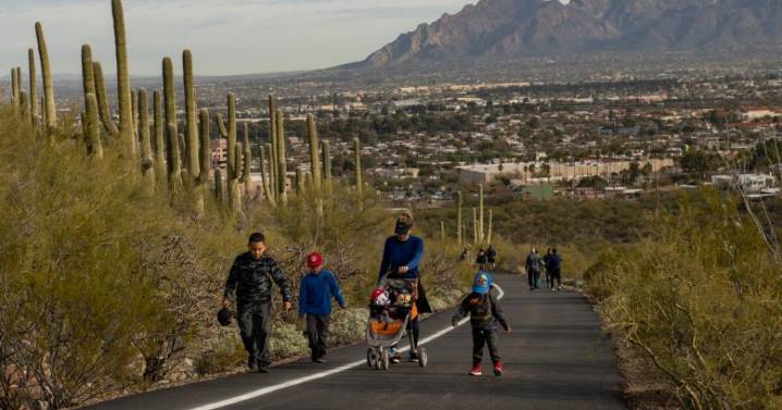 Tumamoc Hill to host free family-friendly programs on nature and wildlife