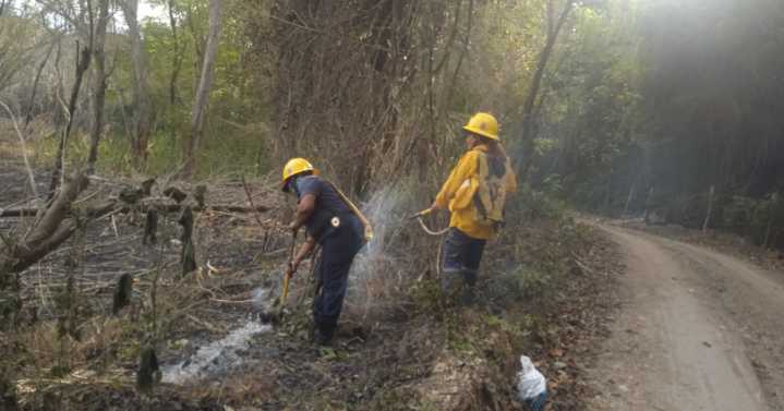 Incendios forestales afectaron ocho municipios del Tolima en los últimos días: 154 hectáreas afectadas
