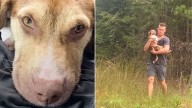 Georgia Pup Left All Alone On A Remote Road Can't Contain Her Happiness After Being Found
