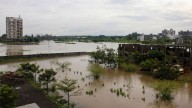 Maharashtra rain update: At least 6 people dead, schools closed; IMD predicts more rainfall for THESE districts
