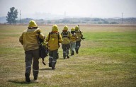 Retoman debate del proyecto de manejo del fuego