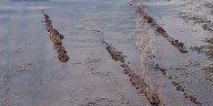 Man, grandson discover possible 19th-century shipwreck in Florida