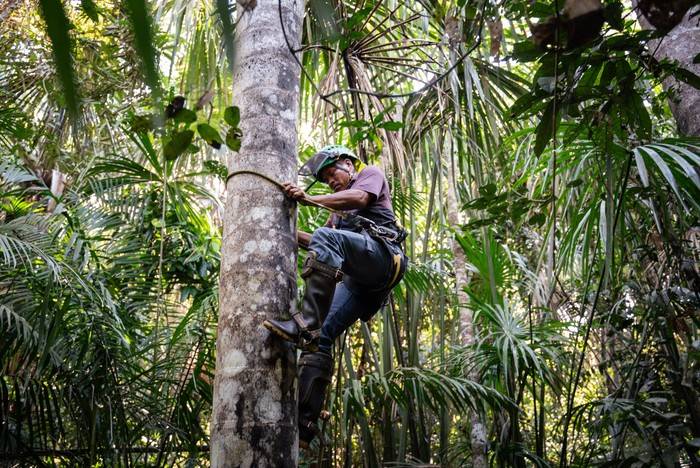 Turberas del Abanico del Pastaza: el valor de uno de los reservorios de carbono más grande del mundo ubicado en Perú