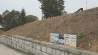 Perrysburg plants 8,000 native grass plugs to revitalize Riverside Park