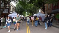 Downtown Ithaca's 43rd Annual Apple Harvest Festival Happening Sept. 26