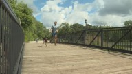 Cleveland runner launches Adventure Dogs CLE to help high-energy pups hit the trails: Ready Pet GO!