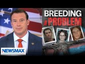 Carl Higbie: Kirk's assassination isn't some 'sick, twisted, trans, furry love story'